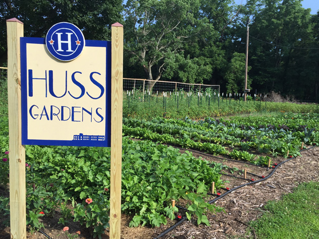 Hussagram: New garden sign